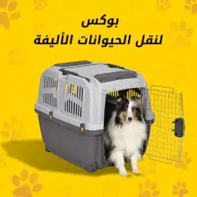 ⁦بوكس نقل الحيوانات الأليفة⁩ - الصورة ⁦2⁩
