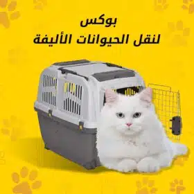 ⁦بوكس نقل الحيوانات الأليفة⁩ - الصورة ⁦4⁩