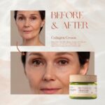 ⁦اولي باراديس كولاجين⁩ - الصورة ⁦3⁩